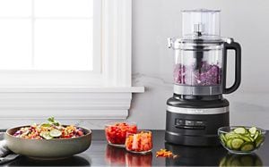 Recommended outlet food processor